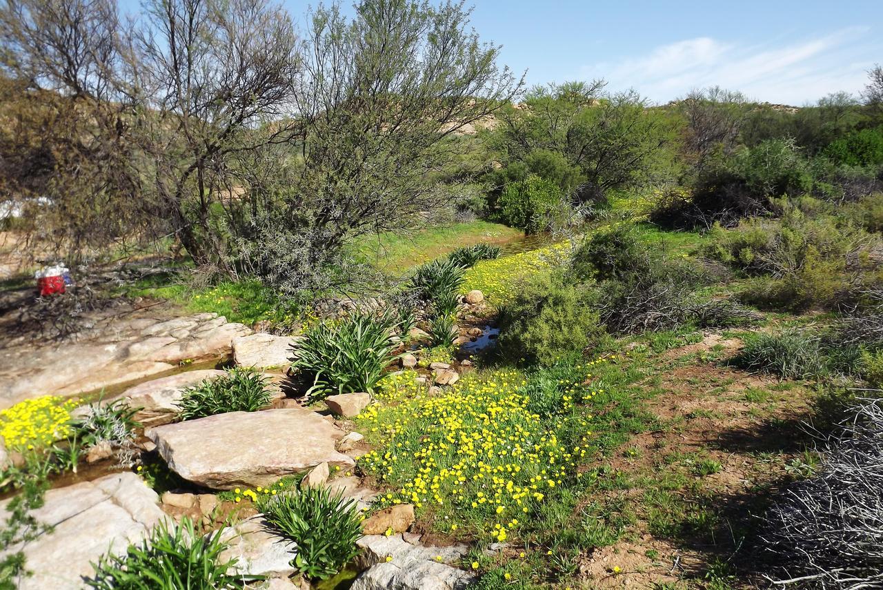 Verbe Farm Accommodation Kamieskroon Εξωτερικό φωτογραφία